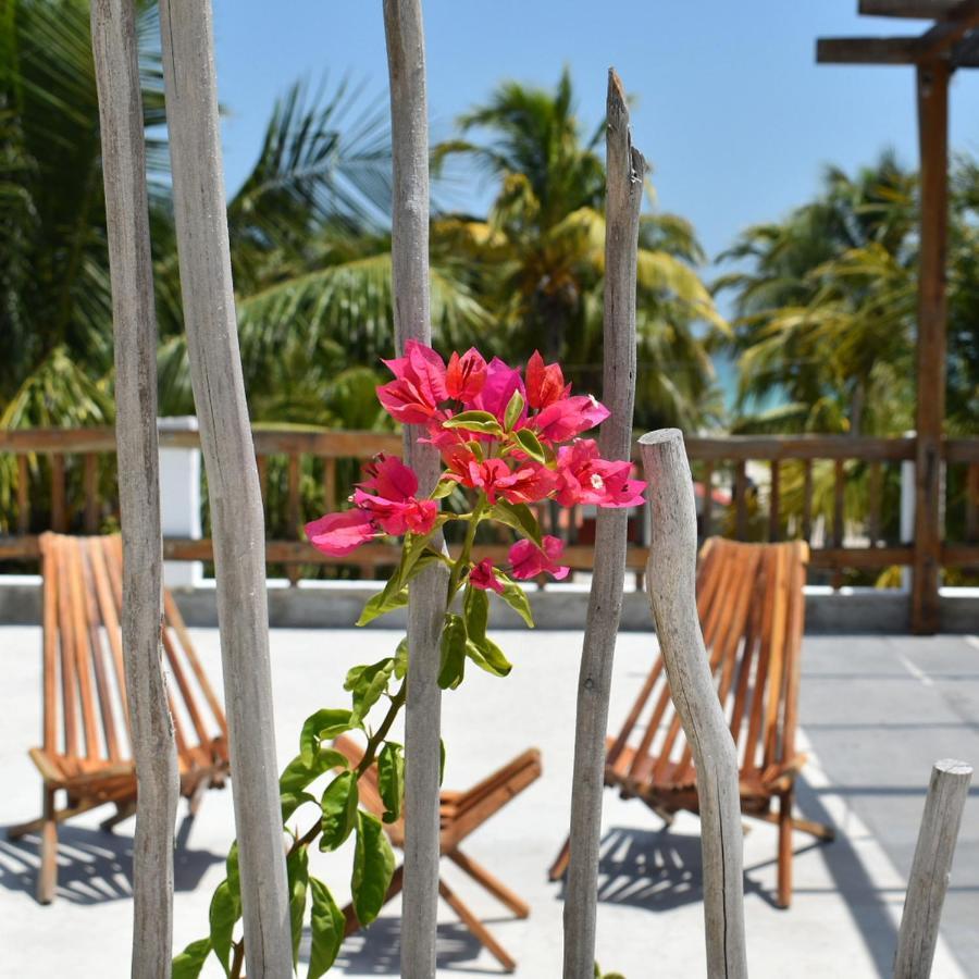 Ah Muzenkab Hotel El Cuyo Exterior photo